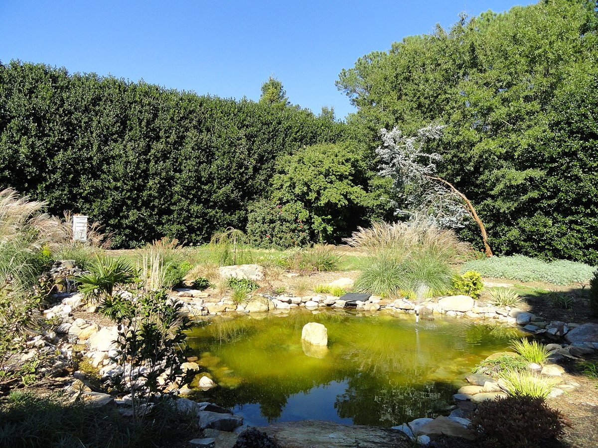 Flowering trees and spring perennial beds at the JC Raulston Arboretum in Raleigh