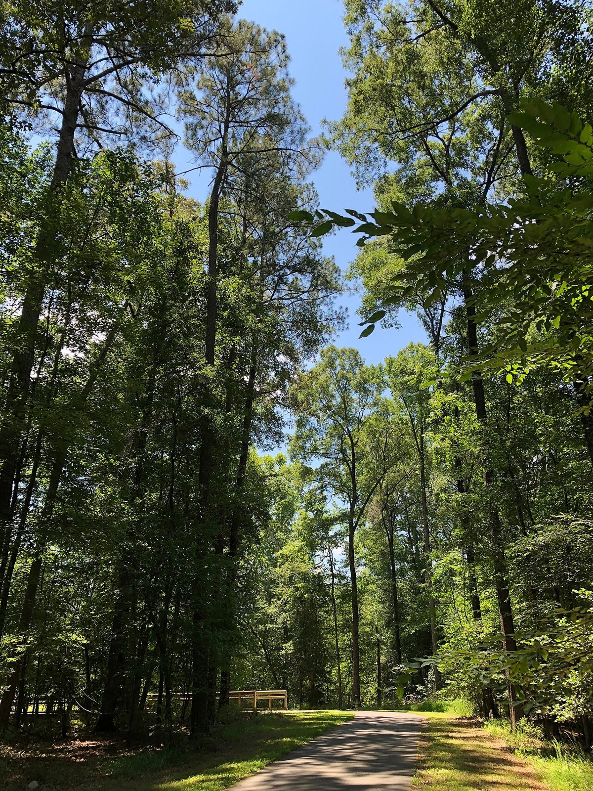 Paved greenway trail along the Neuse River in Raleigh lined with spring greenery